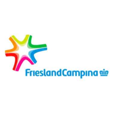 Frieslandcampina - Making Teams Testimonials