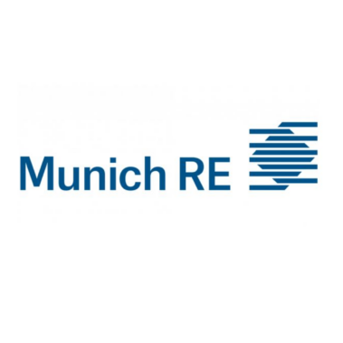 Munich RE - Making Teams Testimonials