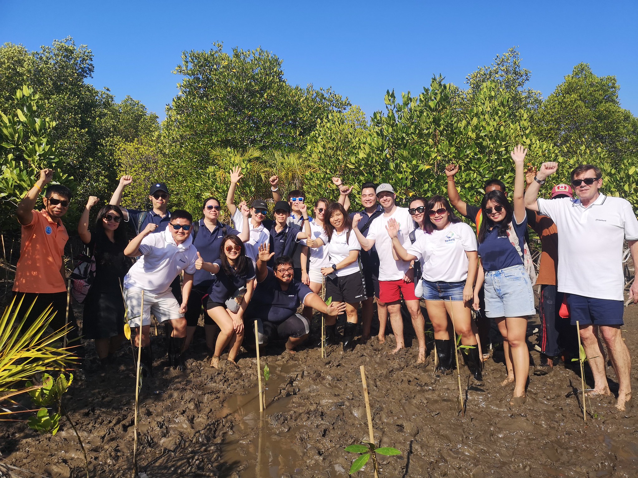 The Mangrove Planting Turtle Care event for Tarkett in Phuket was a purpose-driven corporate responsibility initiative aimed at environmental