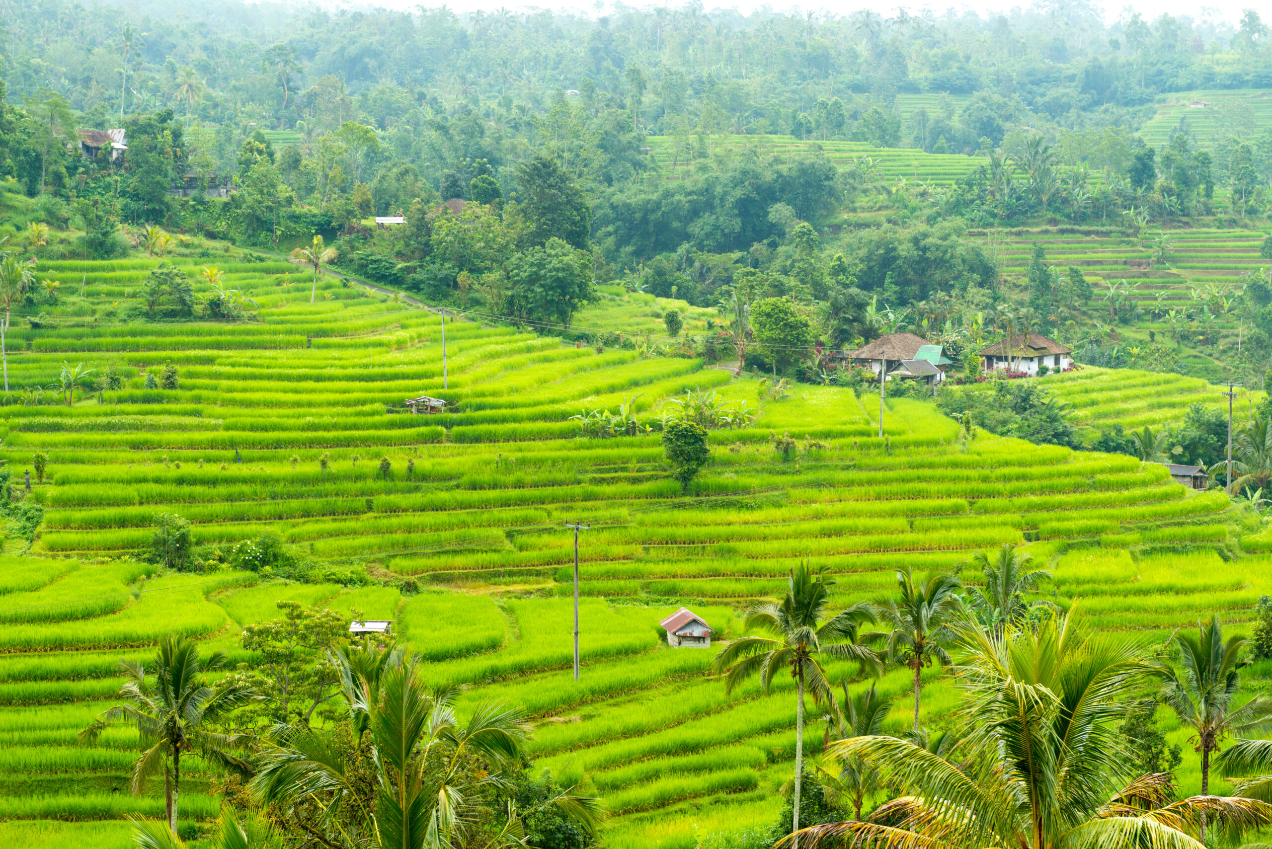 Team Building in Bali – Best Destination for Corporate Retreats & Group Activities Team Building in Bali – Best Destination for Corporate Retreats & Group Activities