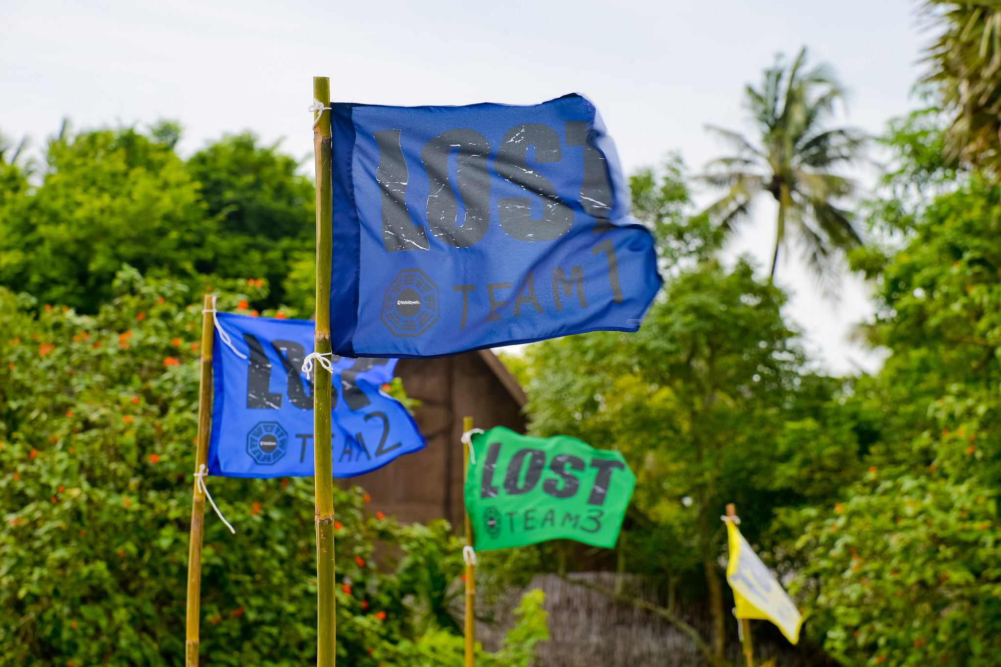 Why Survival-Based Team Building Creates Stronger Teams Colorful team flags marking a survival-based team building challenge set in a tropical outdoor environment.