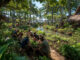 Leadership team building through Balinese gardening and sustainable farming